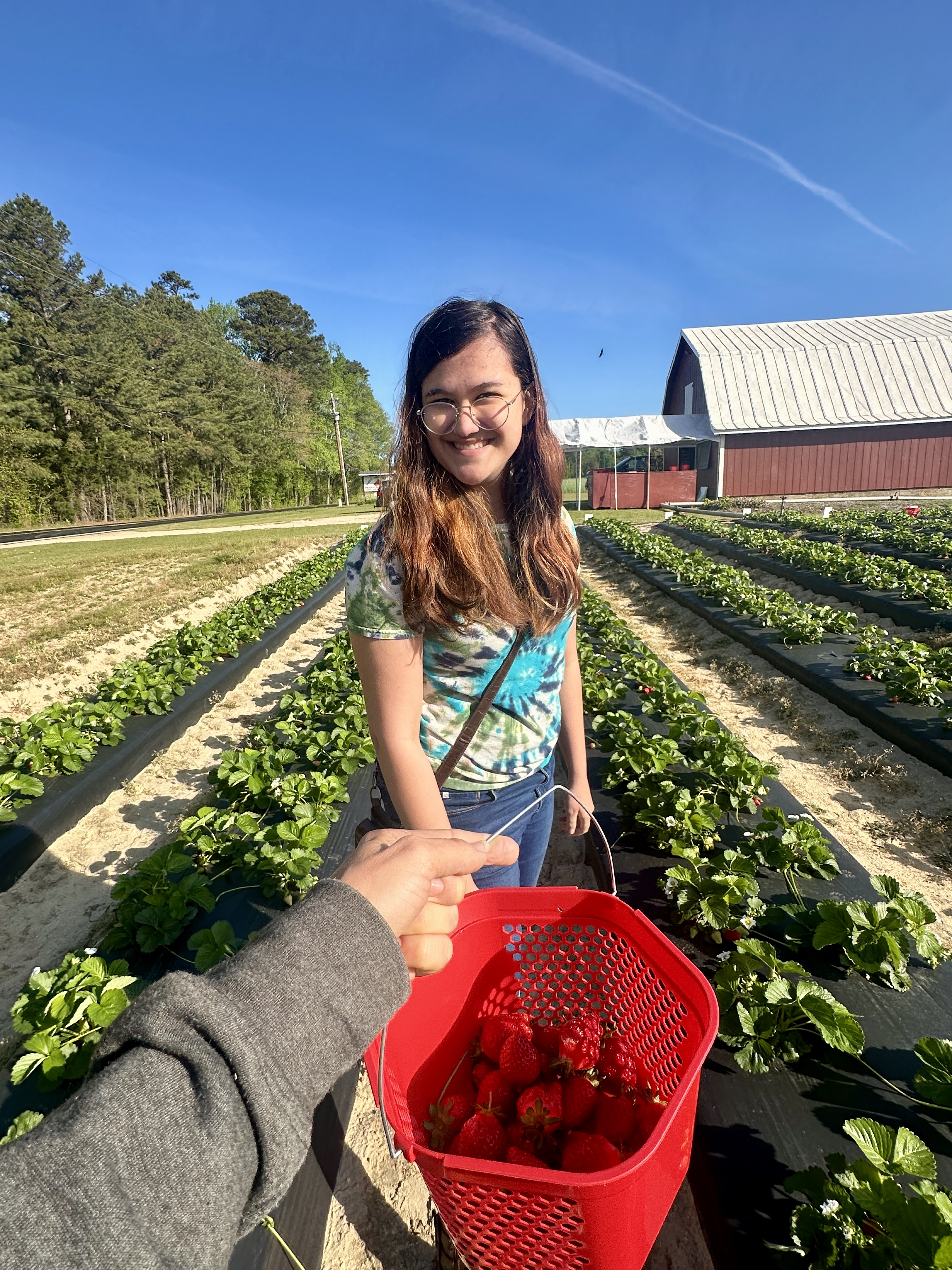 Strawberry Time